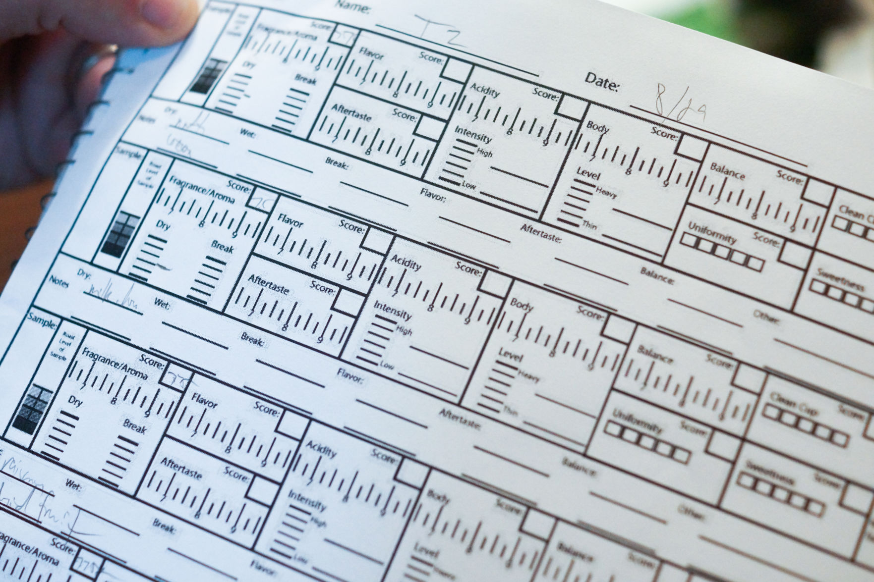 Coffee scoring sheet